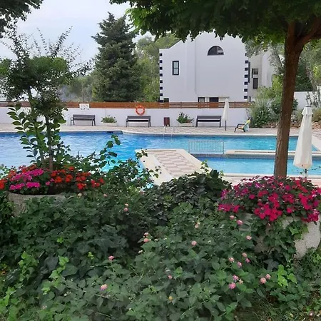 Lejlighed Confort Avec Wifi Vue Sur Et Piscine Communautaire Secteur El Golfet A Callela De
